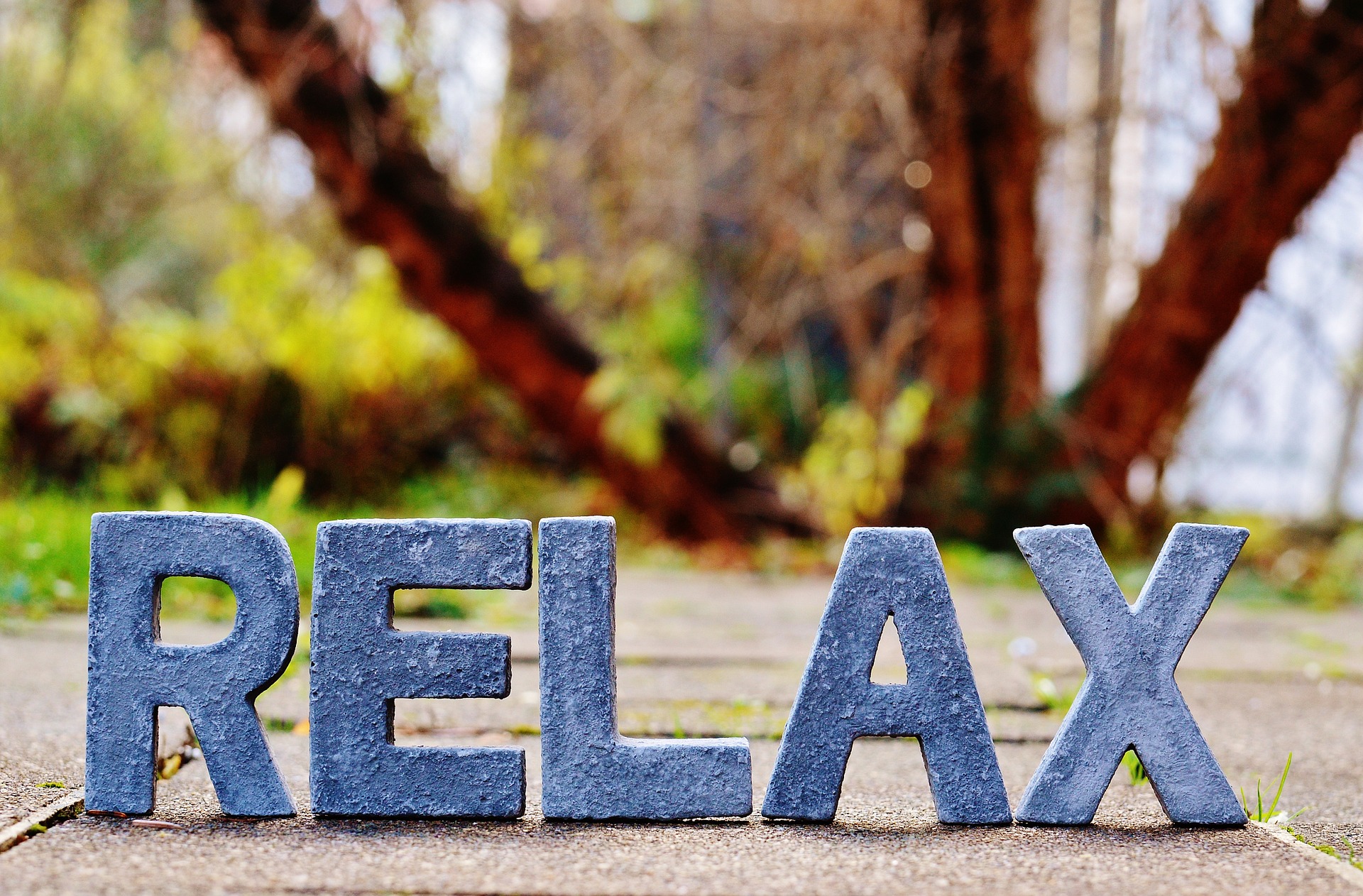 Relax! Your Bone Density Is Perfectly Healthy - s4156yv
